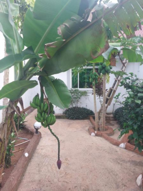 nungwi beach house III